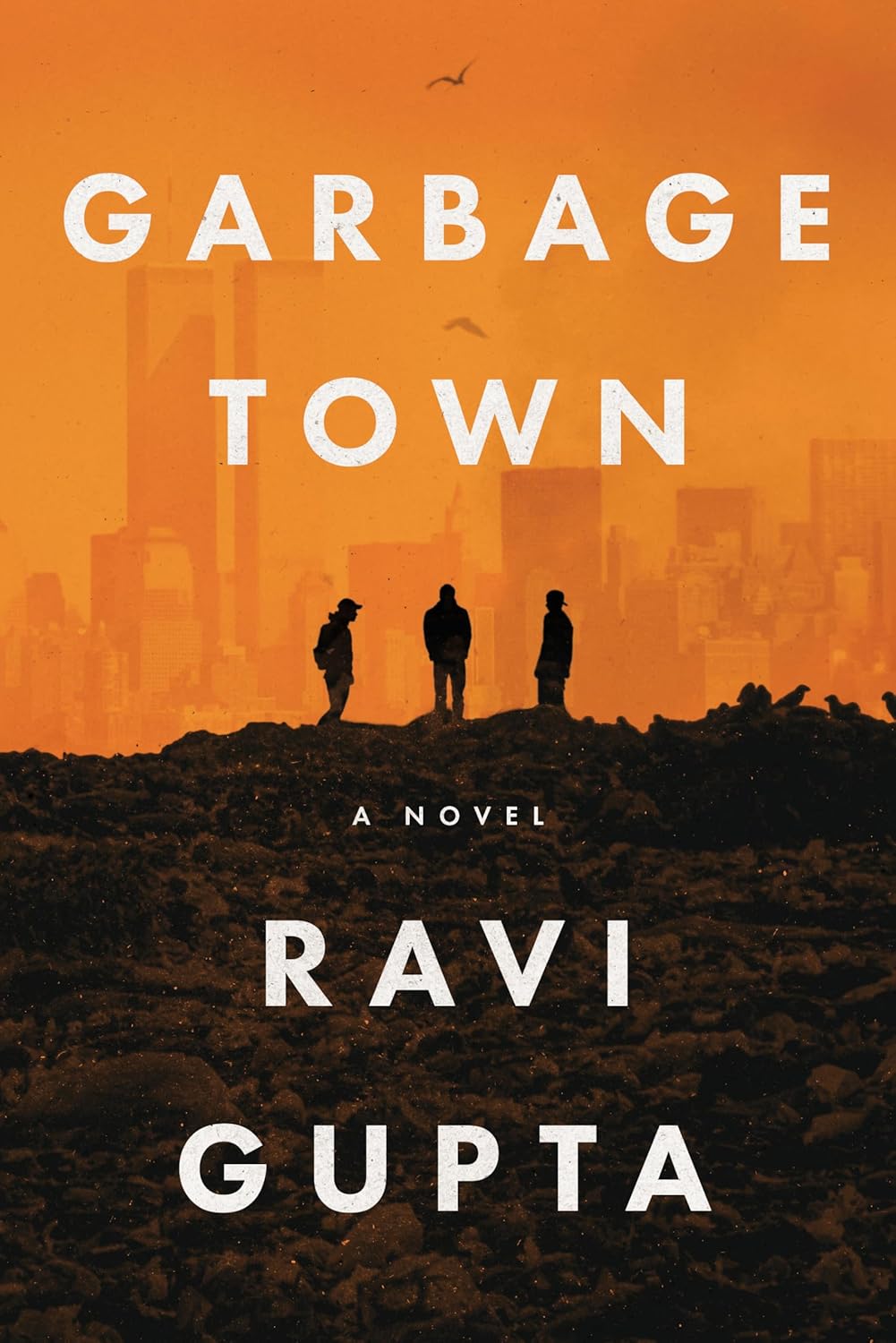 Garbage Town, Ravi Gupta