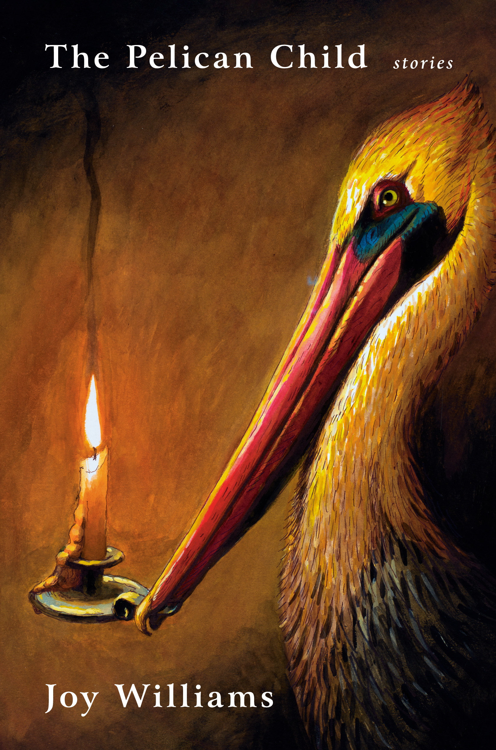 The Pelican Child, Joy Williams